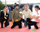 CACIB Badajoz 2011